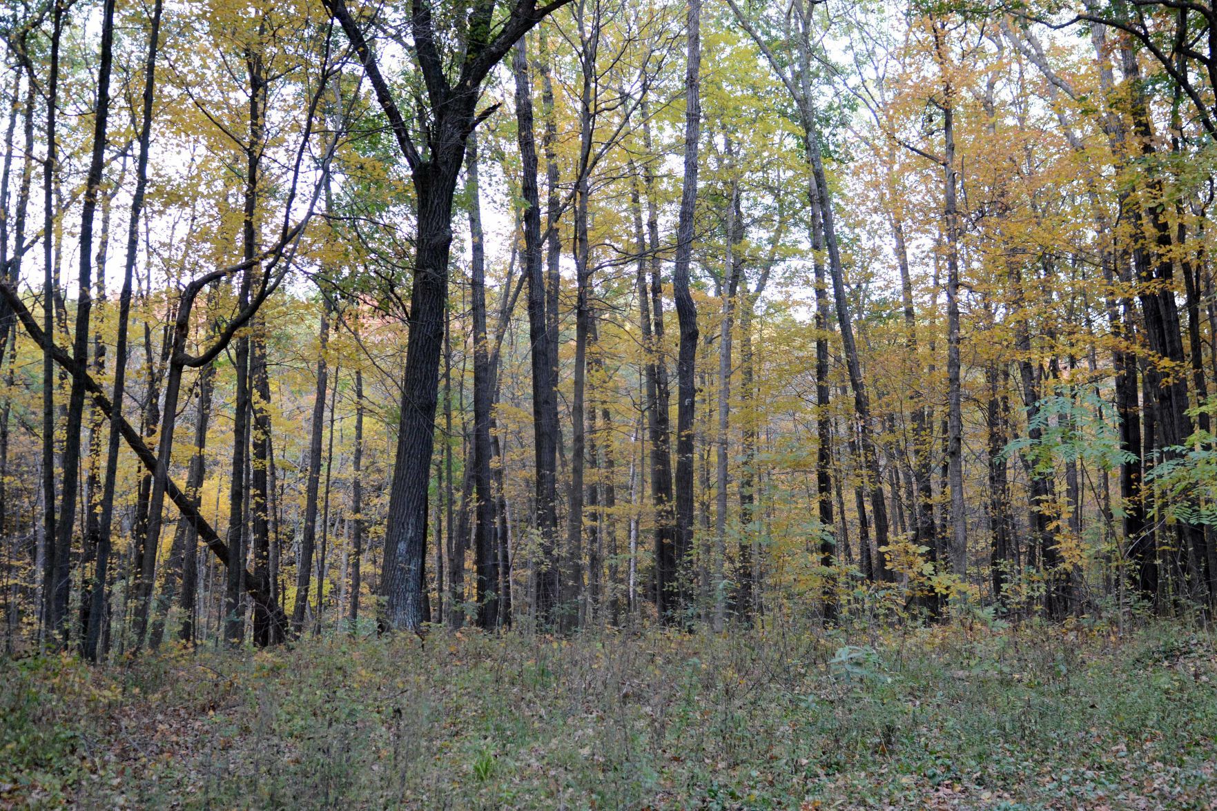 Devil's Lake shows autumn colors, Oct. 18